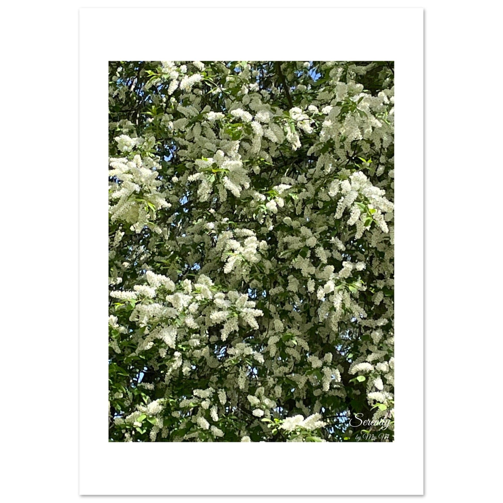3978ba2e-2587-4de7-b29d-7189da30d667