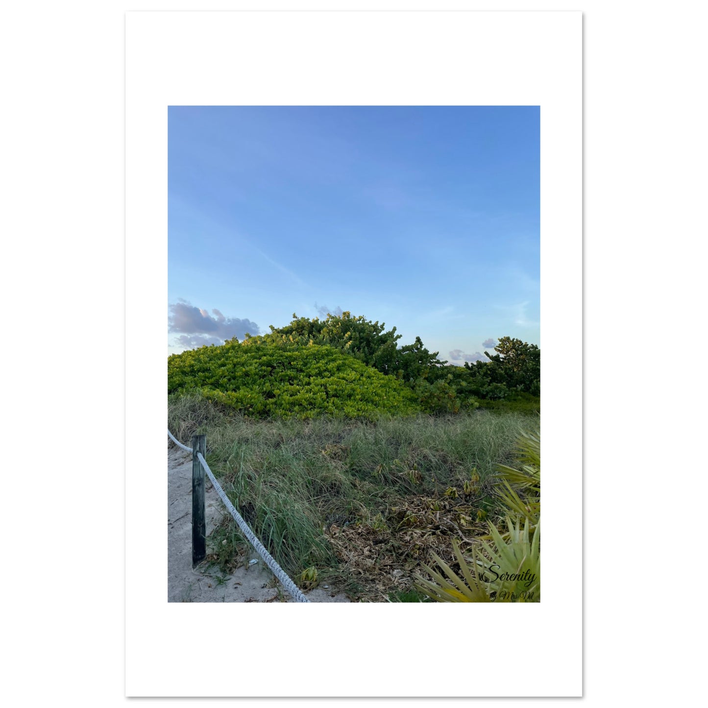 a7731c2d-01f7-46e0-8145-c9c4357bf448