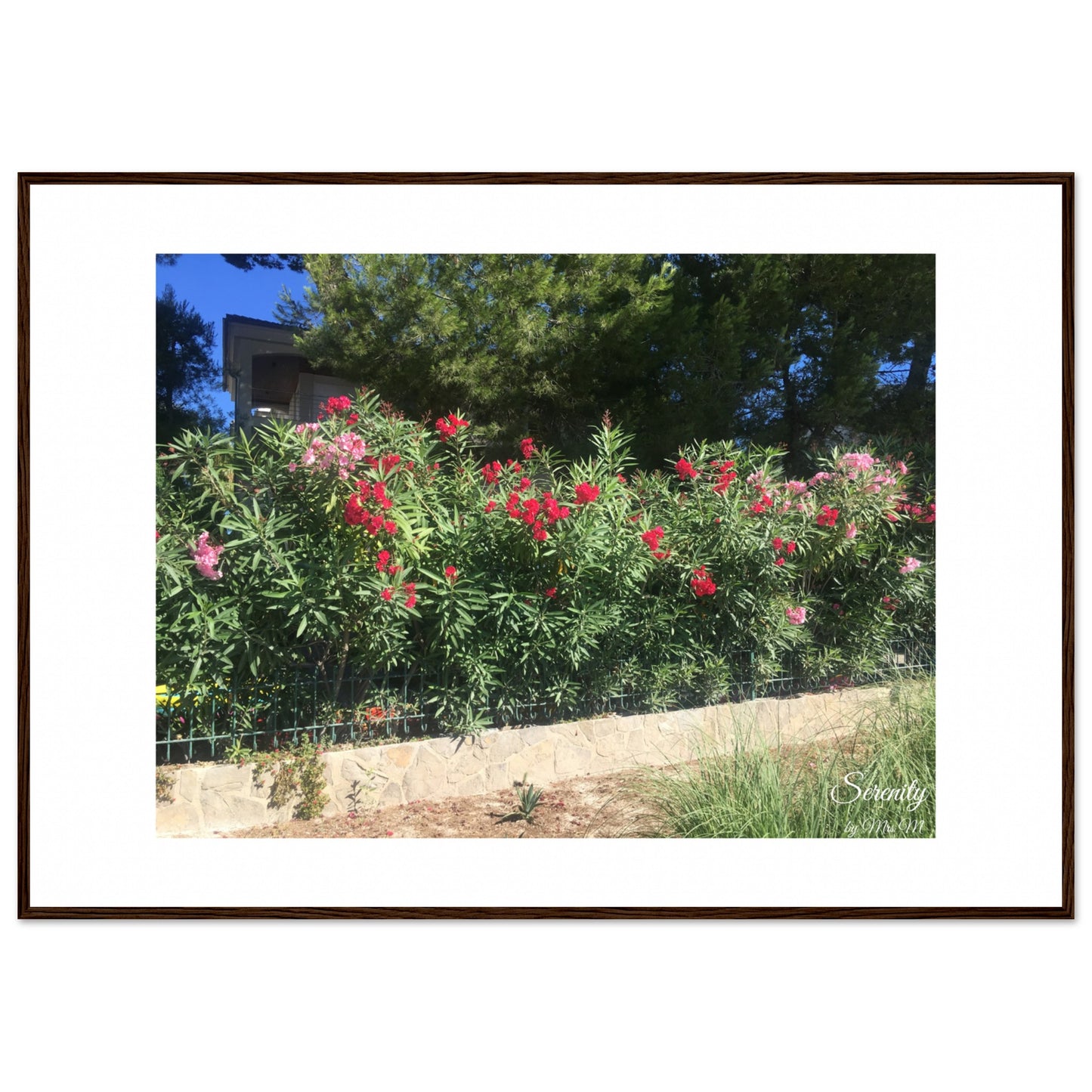 ae5faa06-6ef6-4faf-bd89-1c04cf0161ee