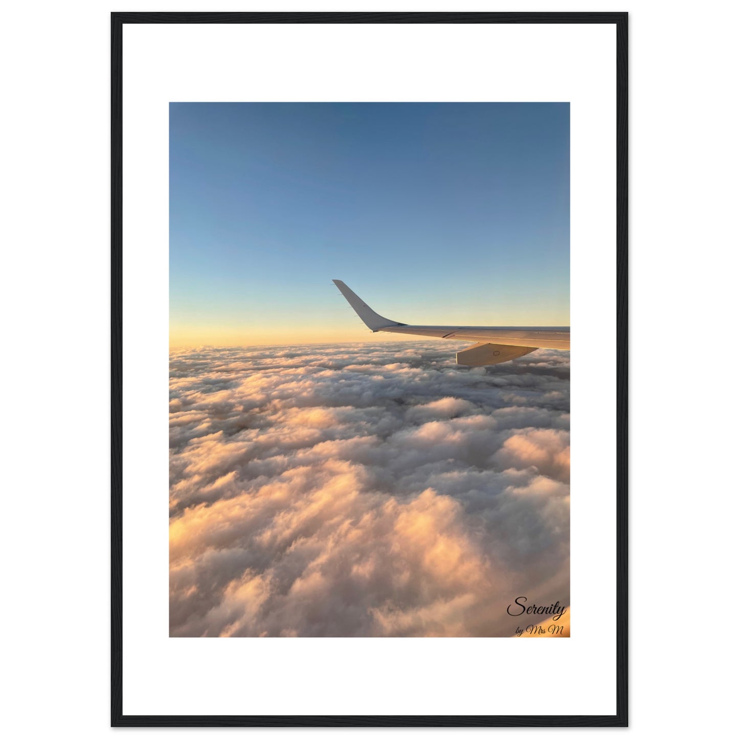 c3e58114-6e10-4aa2-9624-f692ca88b233