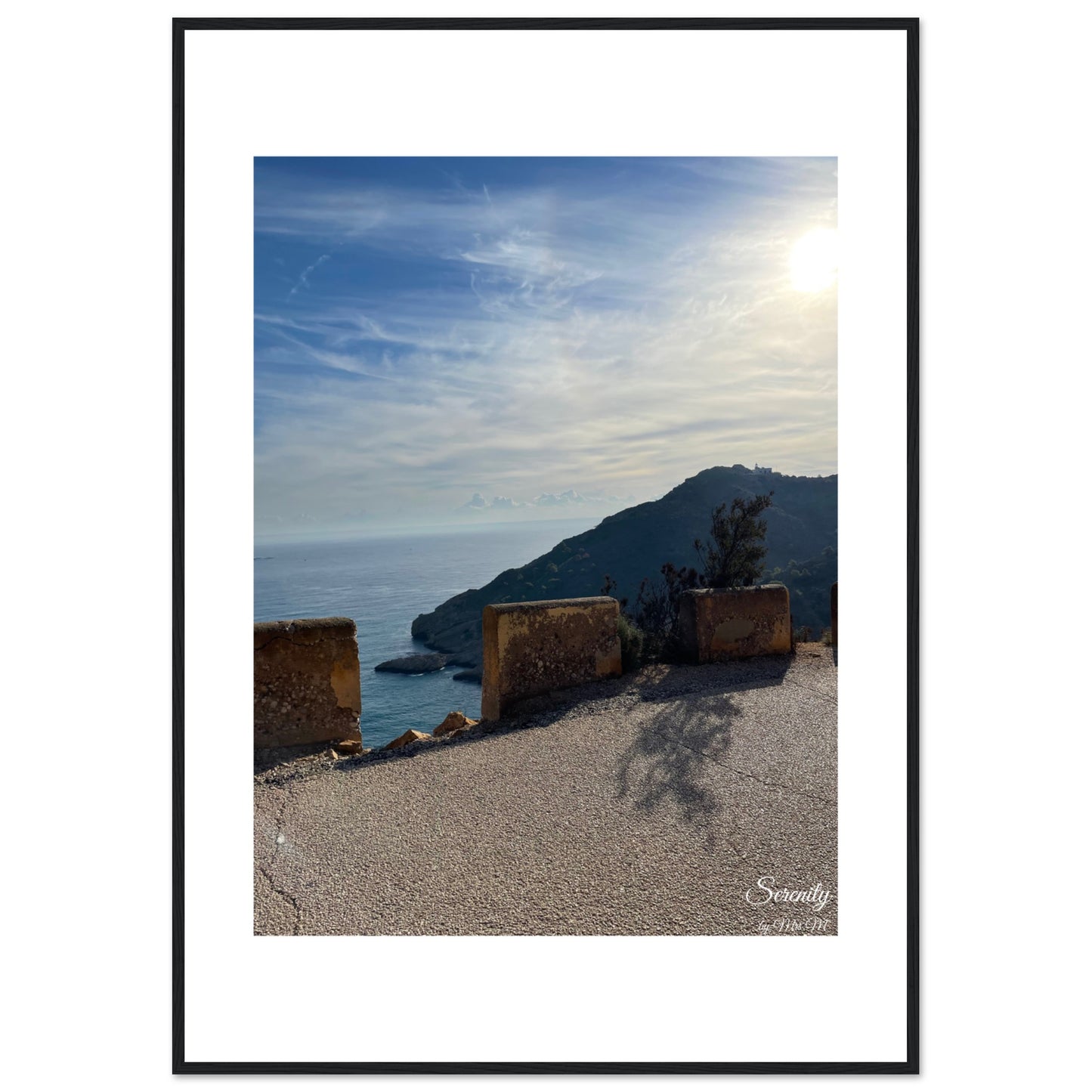 c5d00009-dacf-474a-bba1-79750e9df3d8