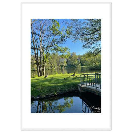 d75336af-f103-4ed6-99f9-9c2653fad8ba
