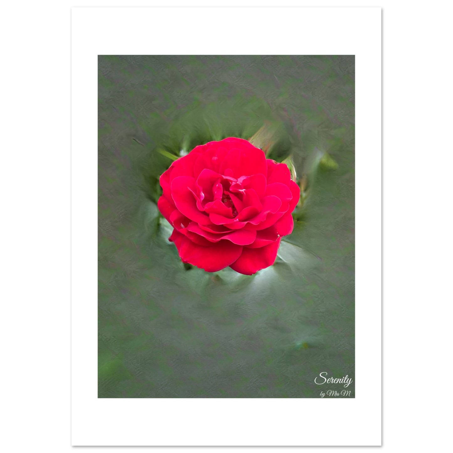 29c135a8-d5bc-4bbb-89ec-82084b07efe2