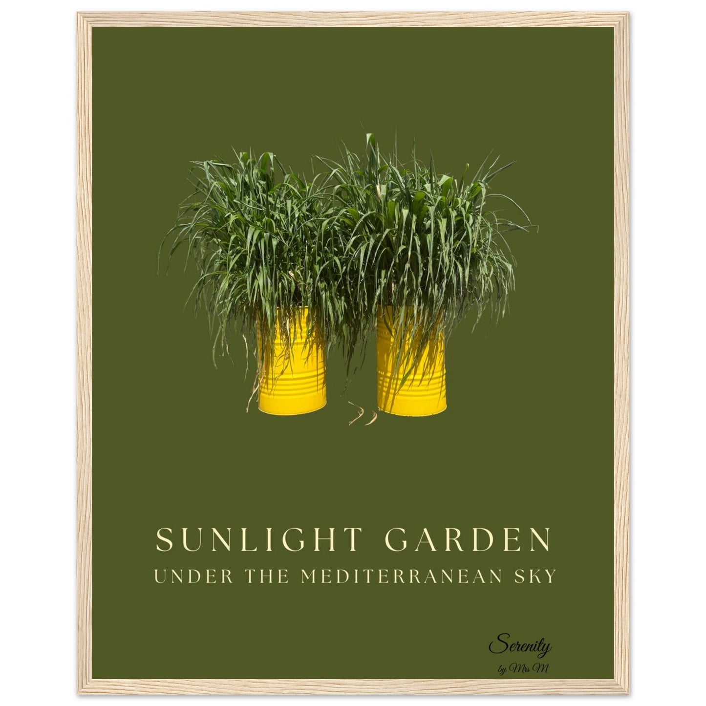 347b6556-fdc5-4c33-89e7-4b065b1c0264