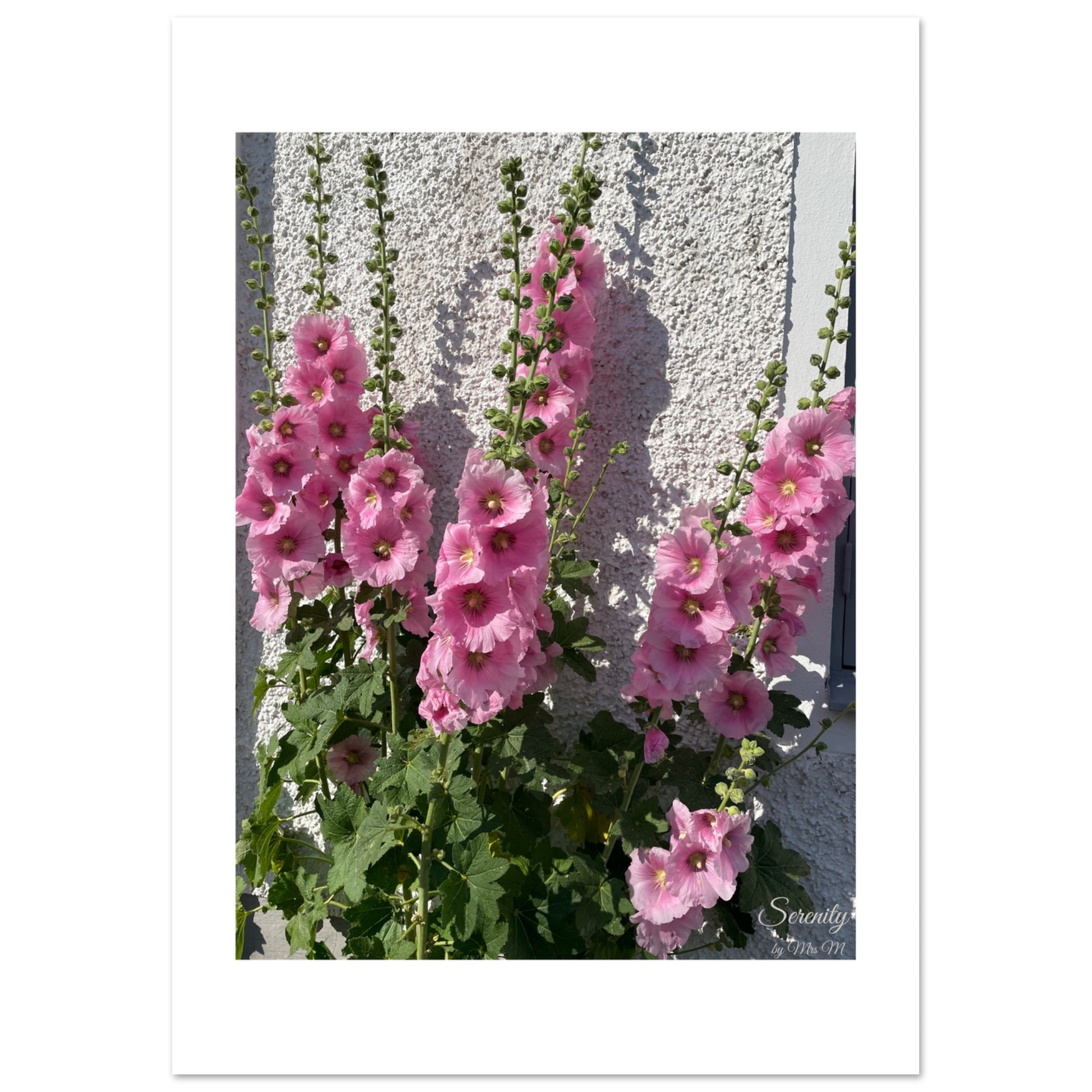 8ee3d98c-2f55-4ab9-9547-fa40d5b9048c