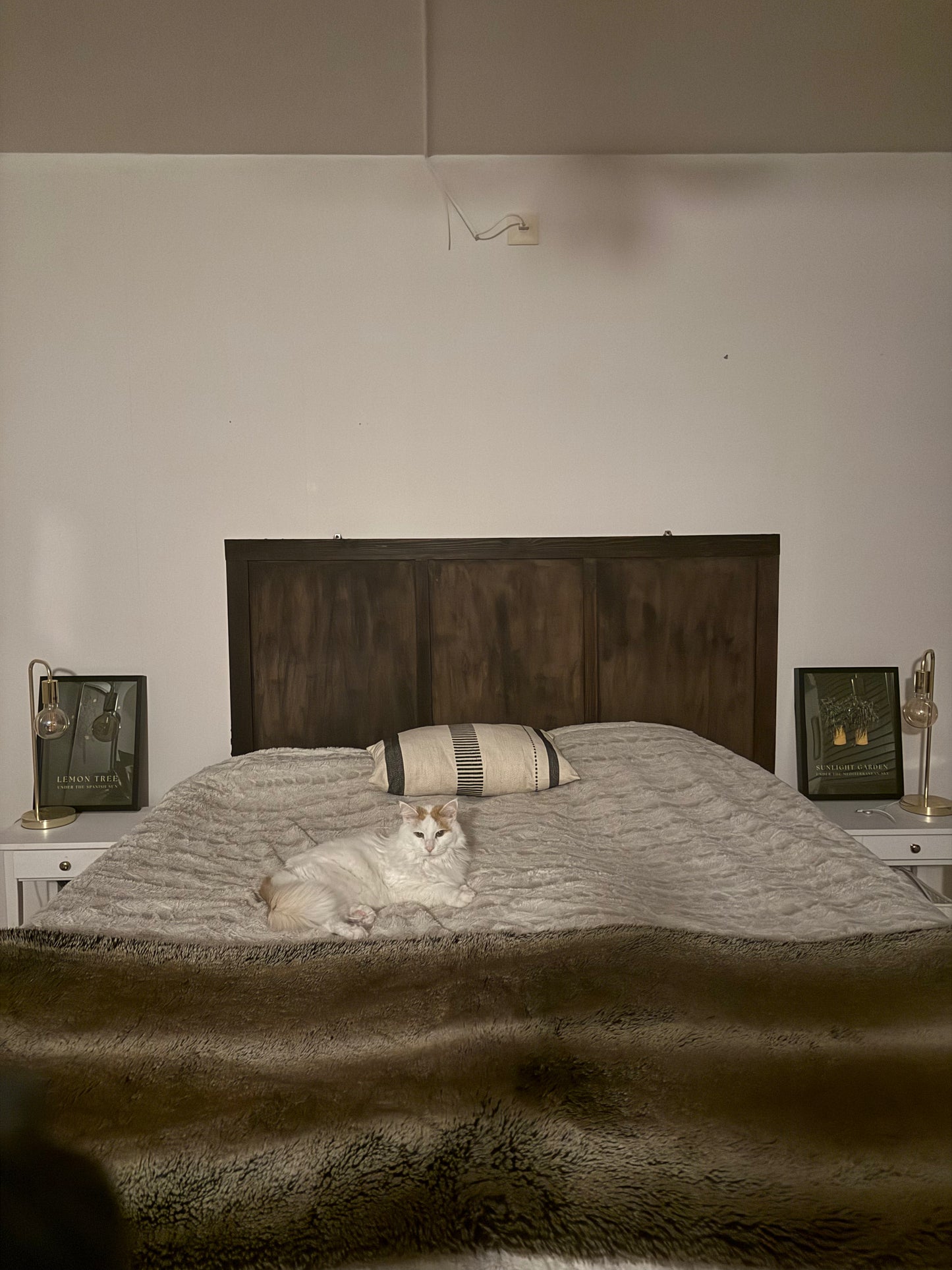 Sunlit Mediterranean Garden Framed Poster