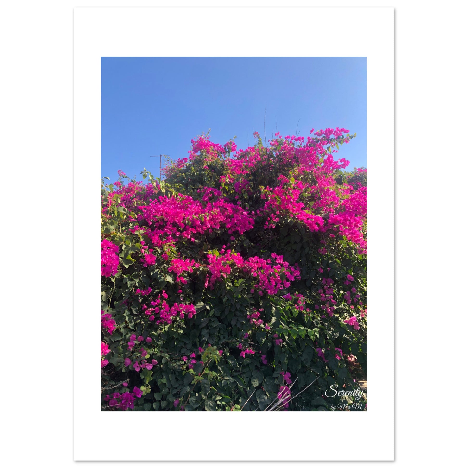 e52851a5-b195-4efe-8a69-8ac3e1dae52a