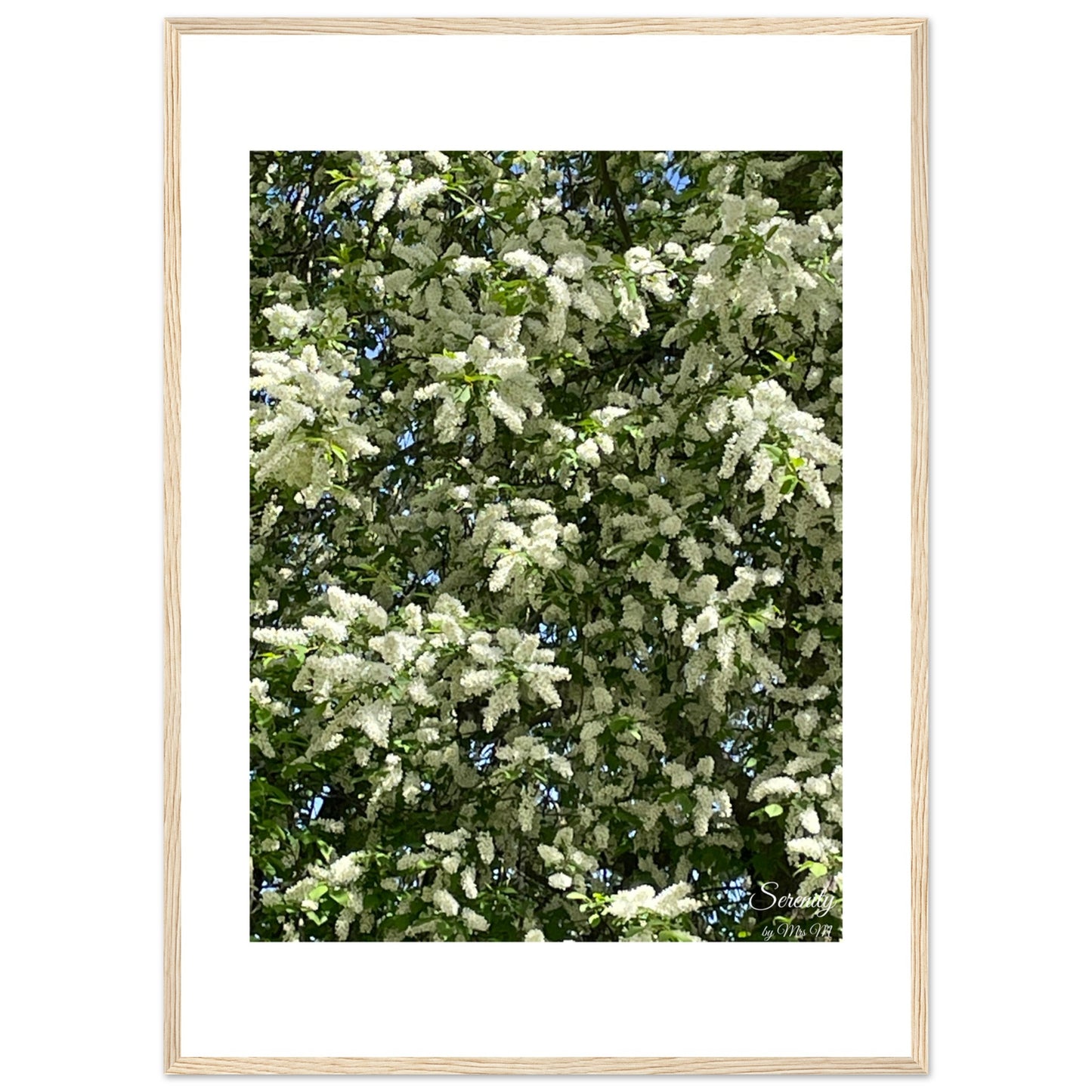 e931fde8-f9dd-4e34-ab18-ea705d70a6f0